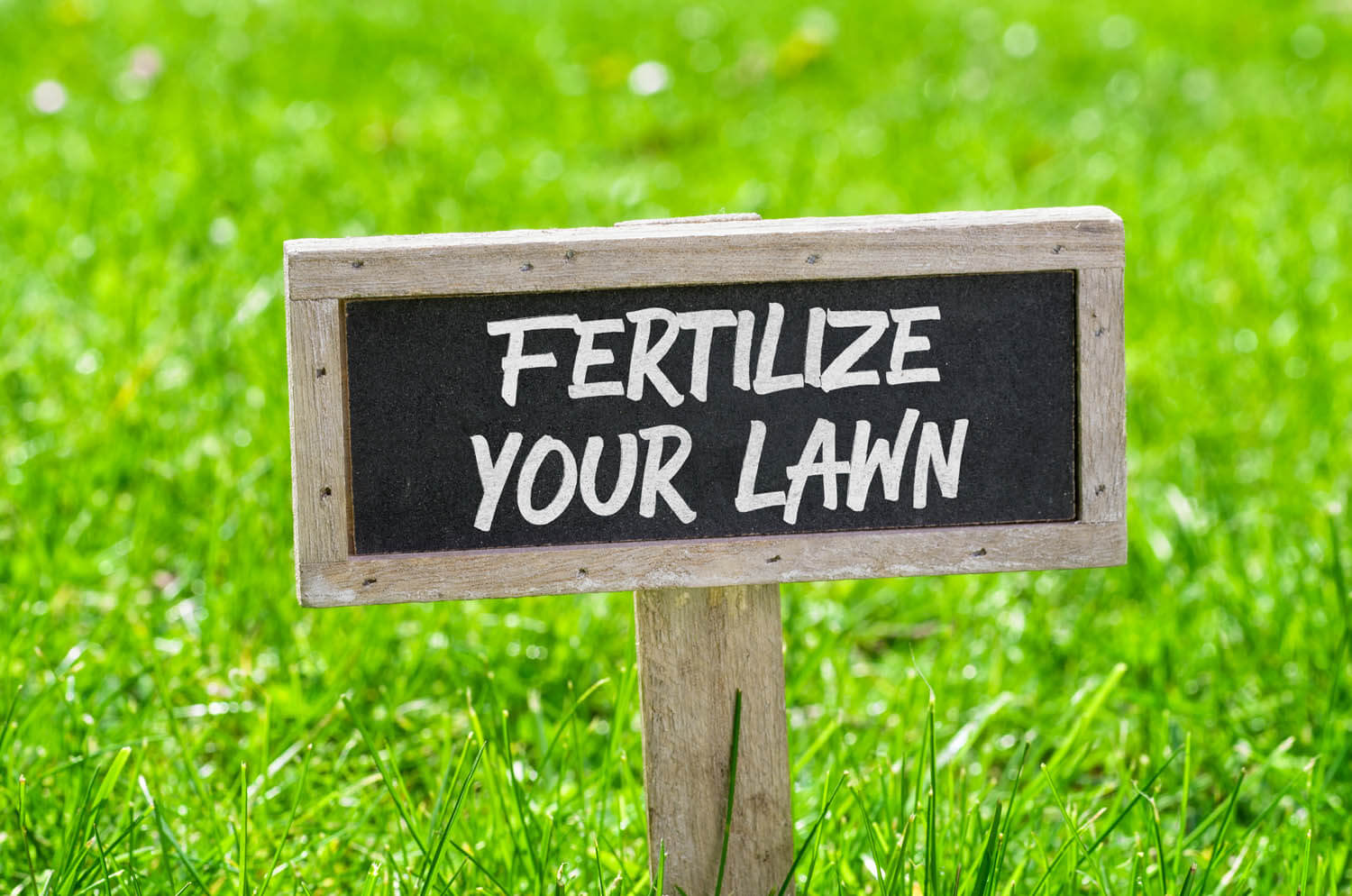 Lawn Fertilization Des Moines