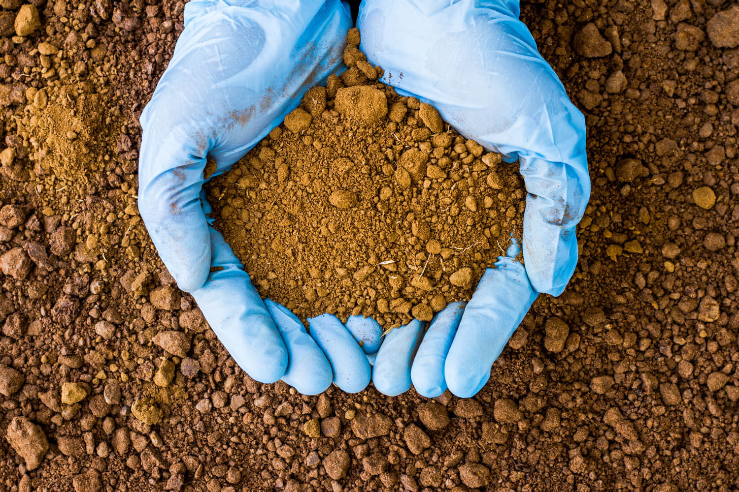 Soil Testing and Diagnosis