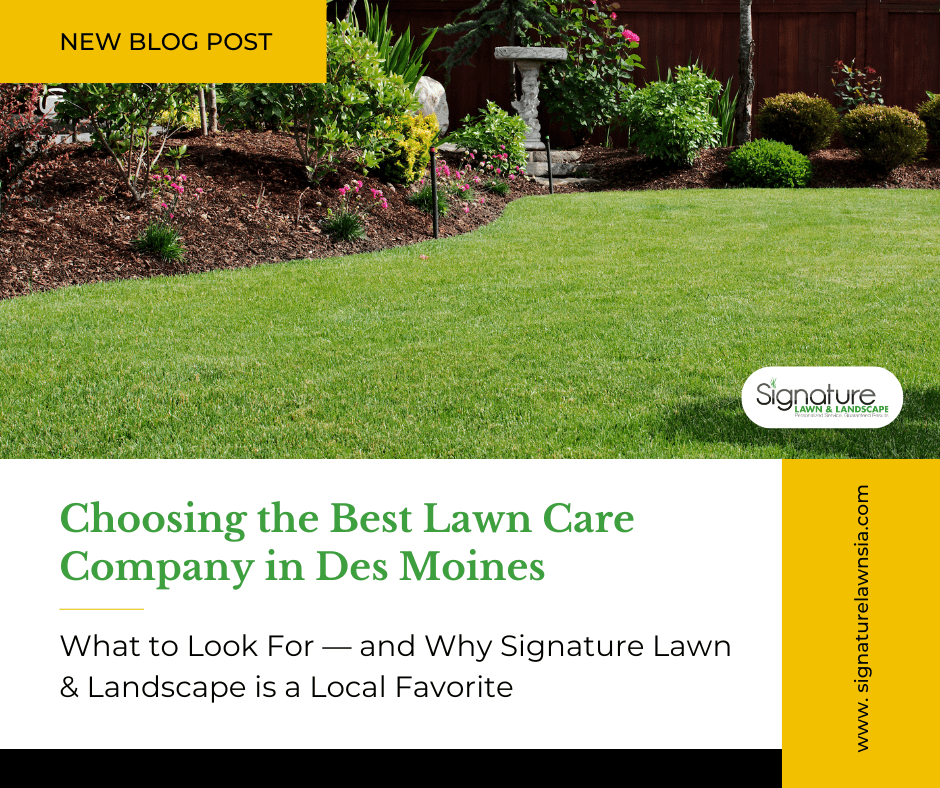 New Blog Post - Choosing the Best Lawn Care Company in Des Moines