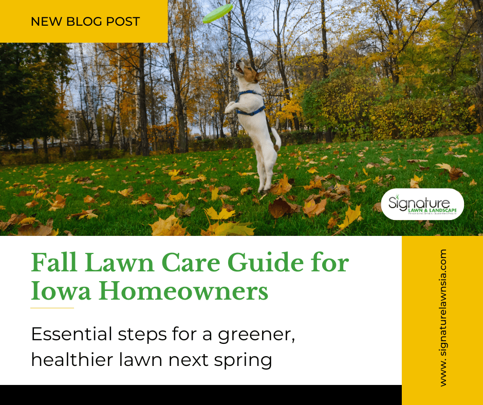 New Blog Post - Fall Lawn Care Guide for Iowa Homeowners