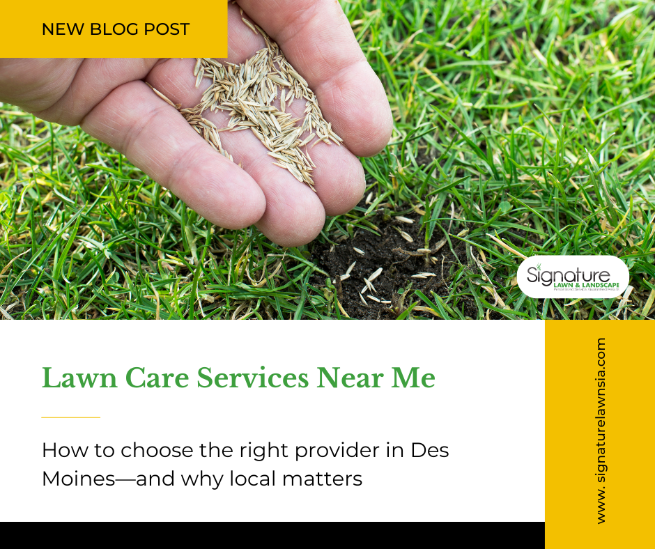 New Blog Post - Lawn Care Services Near Me