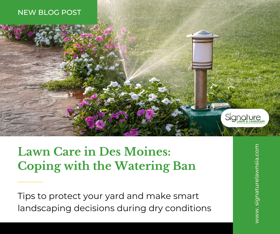 New Blog Post - Lawn Care in Des Moines Coping with the Watering Ban