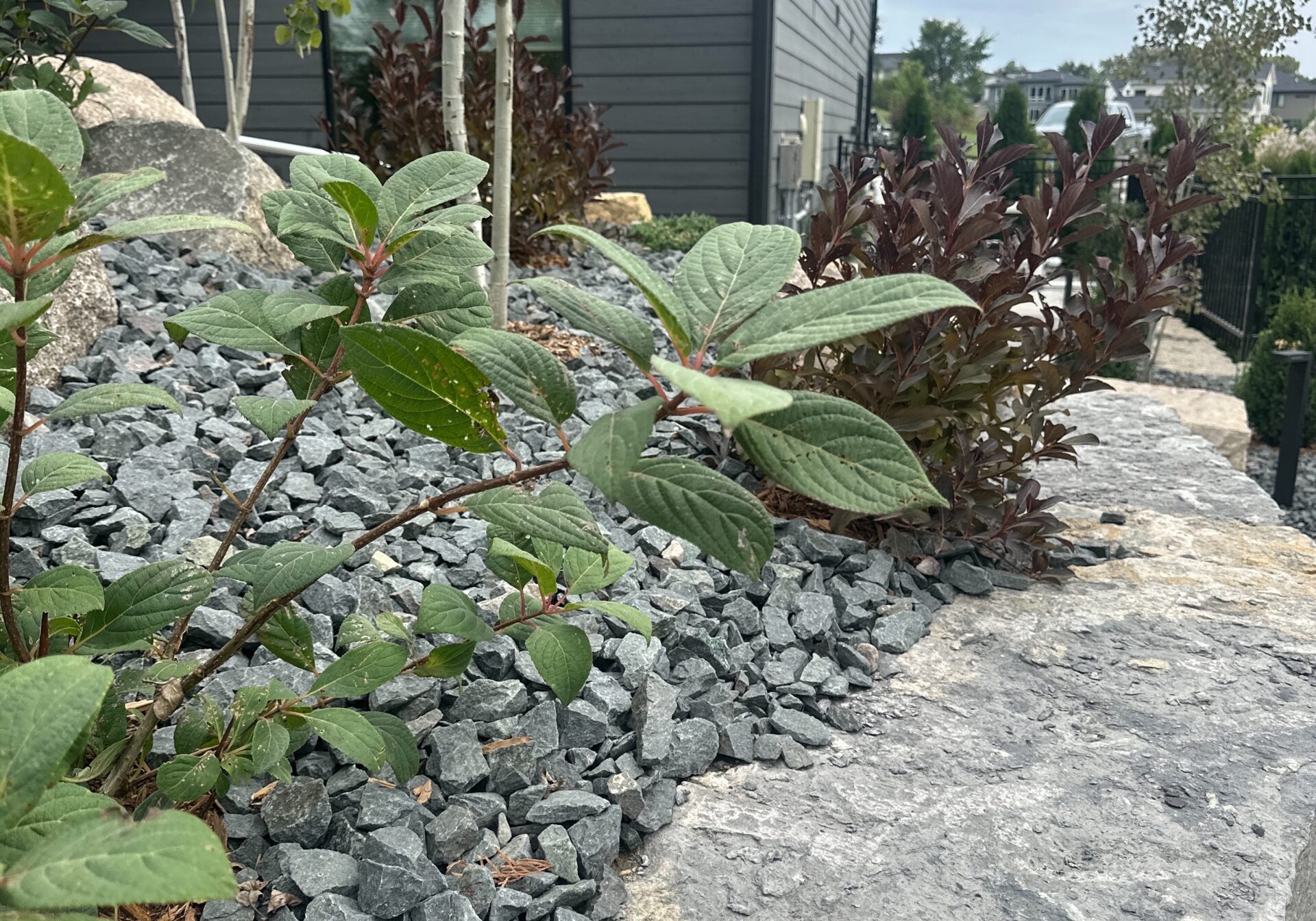 Berkland - Waterslide Foundation Landscaping 1