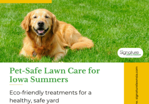 New Blog Post - Pet-Safe Lawn Care for Iowa Summers