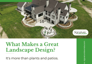 Blog Post - What Makes a Great Landscape Design