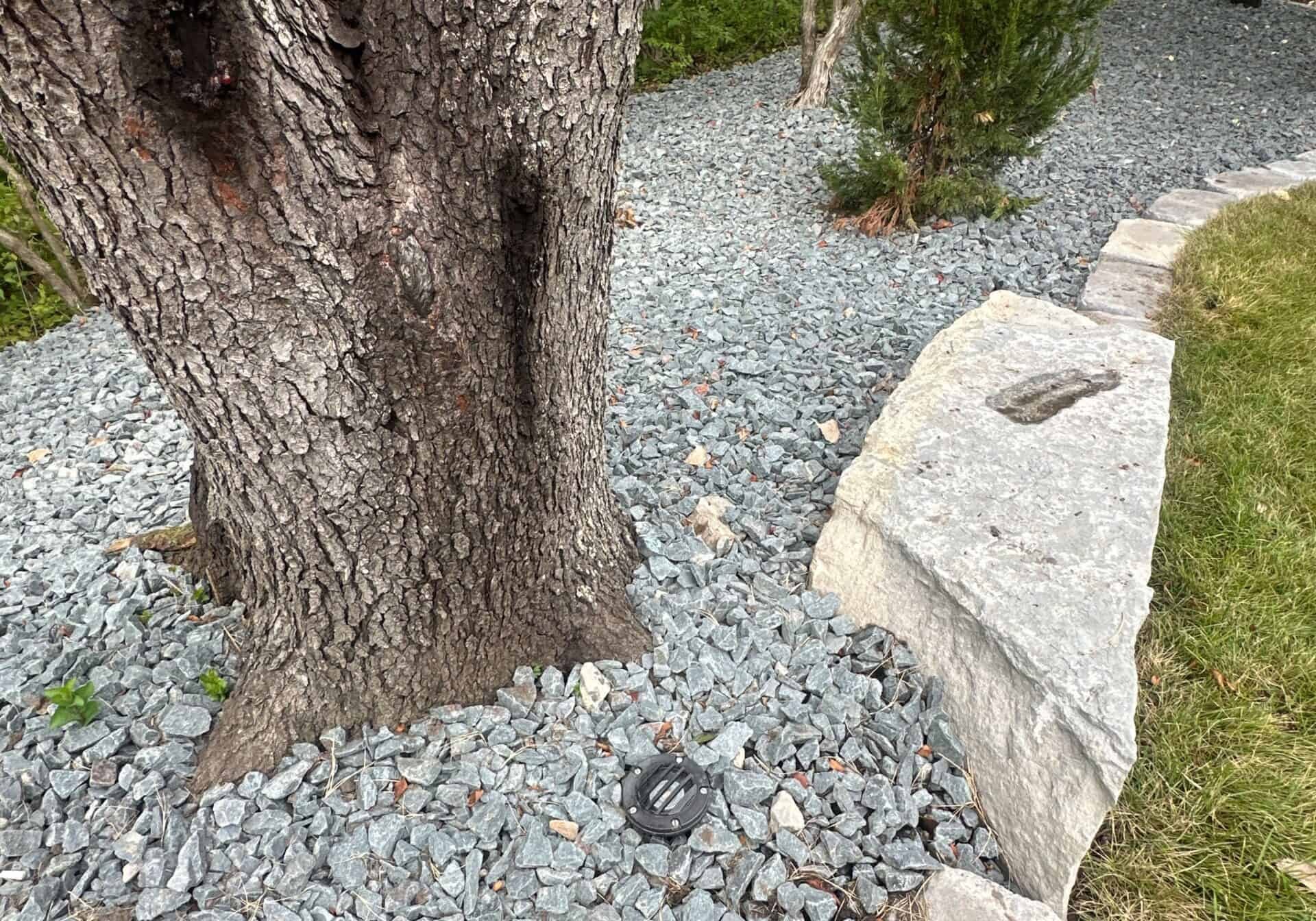 Treeline landscaping and lighting